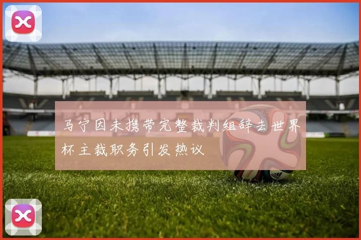 马宁因未携带完整裁判组辞去世界杯主裁职务引发热议