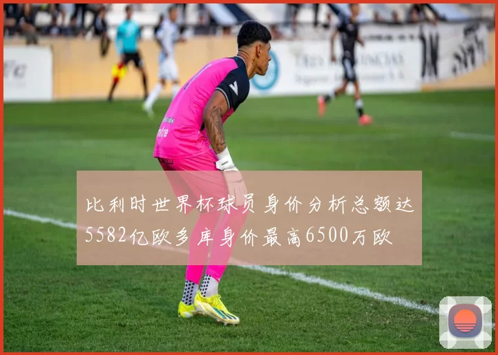 比利时世界杯球员身价分析总额达5582亿欧多库身价最高6500万欧